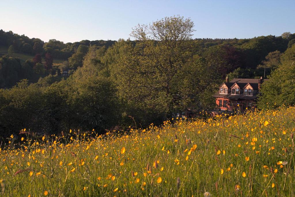The Laurels B&B Oakamoor Eksteriør bilde